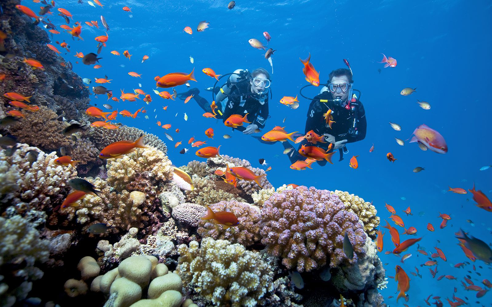 Discover Vietnam’s colorful reefs on eco-friendly snorkeling tours